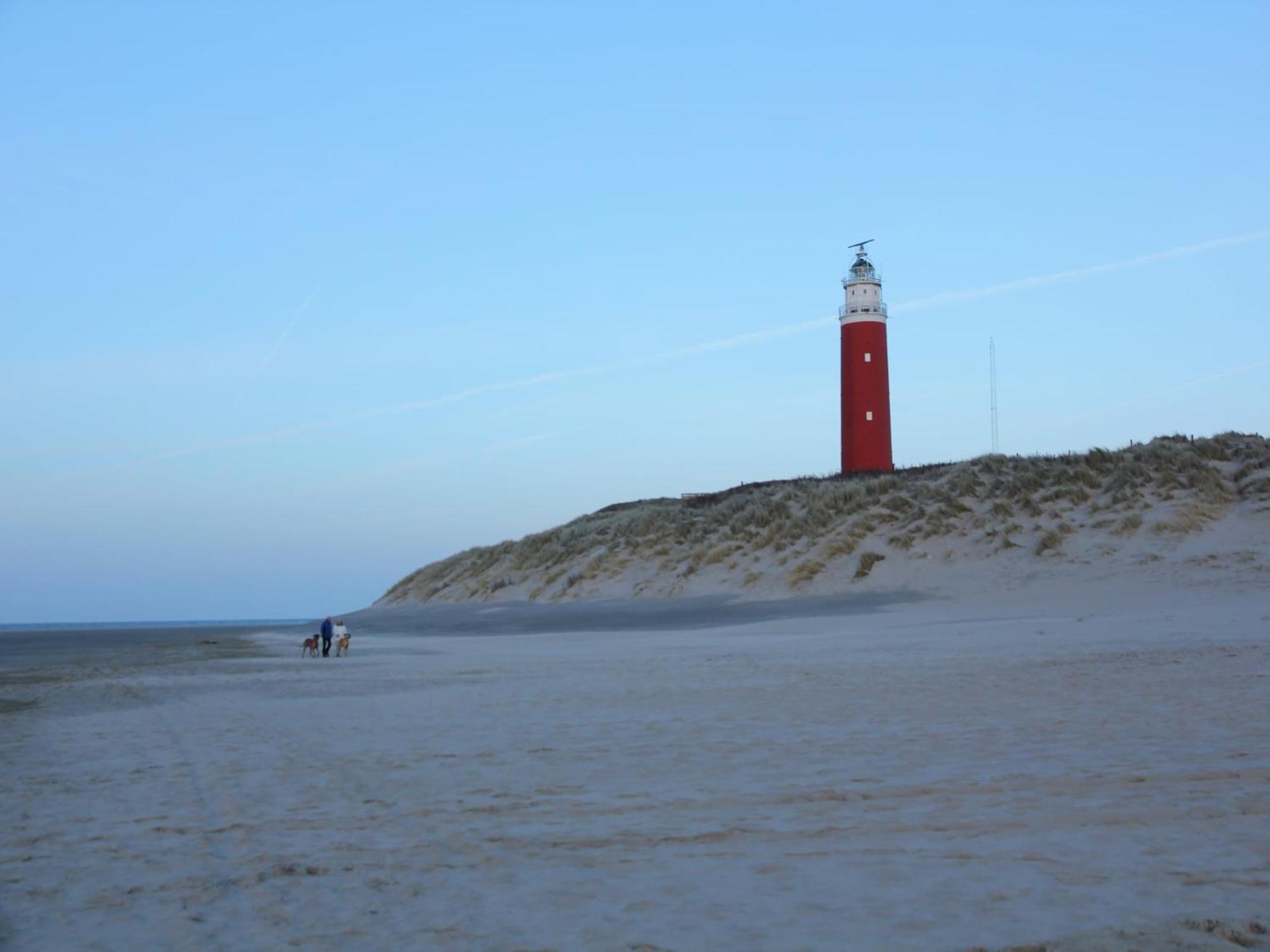 Great Holiday Home Energy Neutral On Texel With Sauna And Sun Shower Westermient Exterior foto